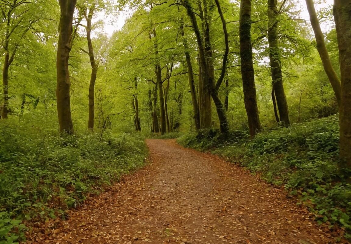 Wandern Frankfurt am Main