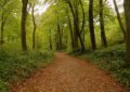Wandern Frankfurt am Main