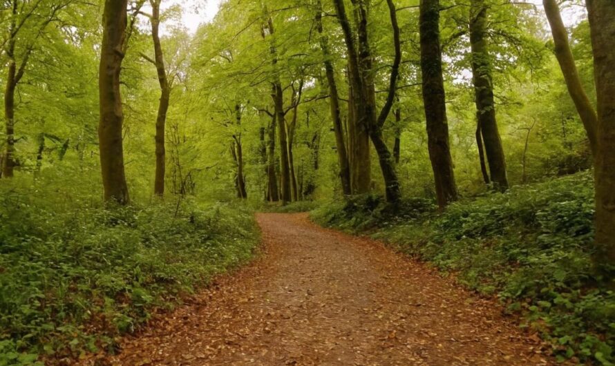 Wandern Frankfurt am Main